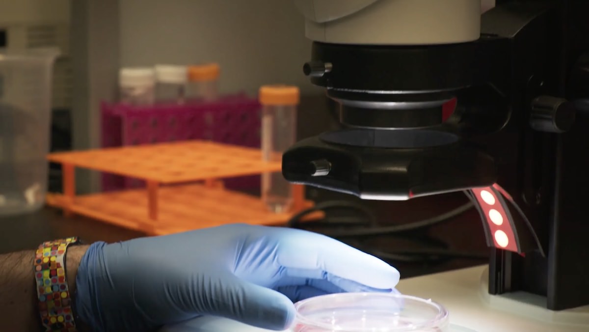 Healthcare video production for medical brands